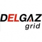 Delgaz Grid