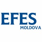 Efes Vitanta Moldova Brewery