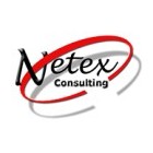Netex Consulting